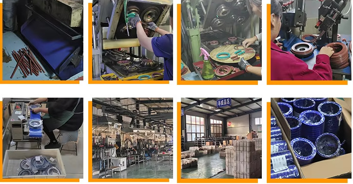 China Beijing Lanqing Technology Co., Ltd. Unternehmensprofil
