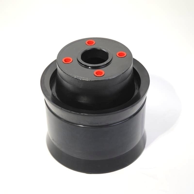 Putzmeister Integral Piston For Concrete Pump Trucks PM200