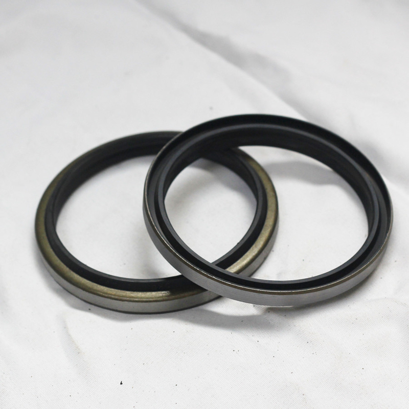 SEALS DKB Hydraulischer Schaber Staubwischer Dichtungen widerstehen Spannung für alle Branchen